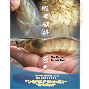 Shrimp Broodstock Oospore Feed